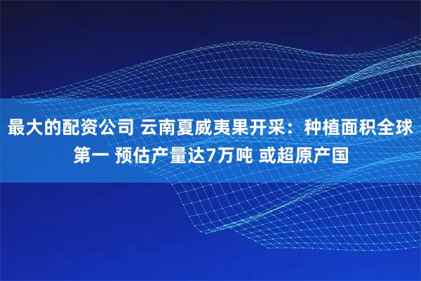 最大的配资公司 云南夏威夷果开采:种植面积全球第一 预估产量达7万吨 或超原产国